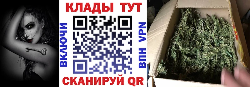 Где найти наркотики Нелидово Амфетамин Бошки Шишки СК
