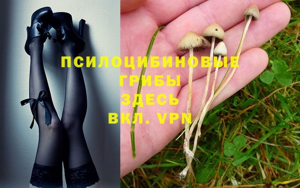 герыч Кинешма