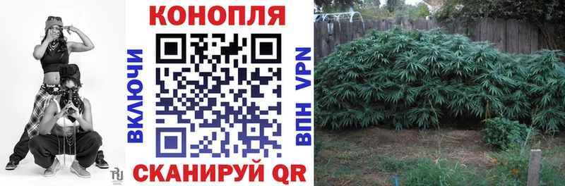 Шишки марихуана MAZAR МЕГА как войти Нелидово купить